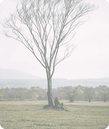 Baum im Freien