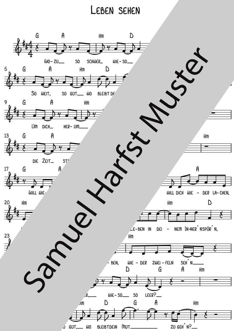 NOTEN | Leben sehen